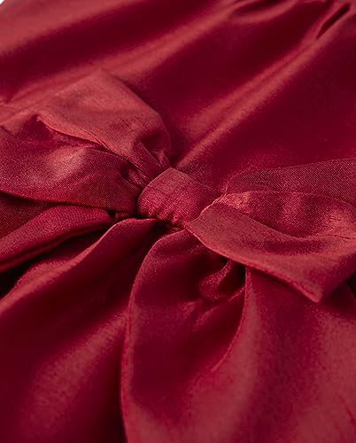 Gymboree Baby Girls' and Toddler Holiday Dressy Dresses2