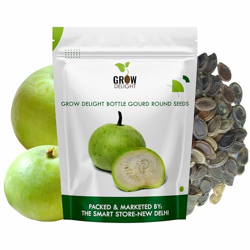 Image of Apple Gourd (Tinda) (20 Seeds) Vegetable Seeds for Home Garden, Organic & Hybrid, Perfect for Home Gardening, Planting For Pots and Patio