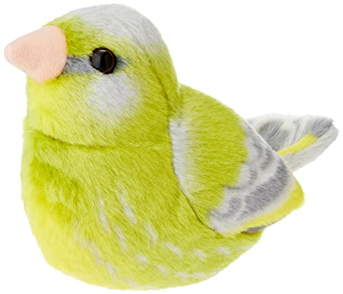 Con autentici canti degli uccelli provenienti da CEBA, questo giocattolo di peluche offre un'esperienza coinvolgente ed educativa, portando i suoni e le immagini della natura nella tua casa.