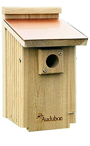 Audubon Coppertop Cedar Wood Bluebird House Model NACOPBB Four Расk Cover