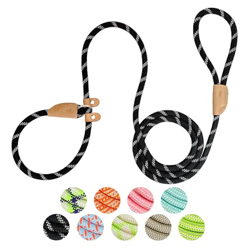 Slip Lead Rope Dog Leash Heavy Duty for Training, Nylon Strong Slip Leads for Dogs 6 Ft X 3/8 Inch...