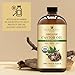 Handcraft Blends Cold-Pressed Organic Castor Oil 16 Fl Oz | Glass Bottle | 100% Pure and Natural | Premium Grade Carrier Oil | Hair, Eyelashes and Eyebrows | Hair and Body