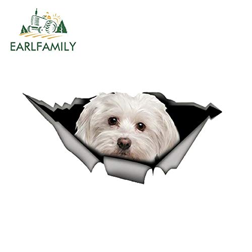 FAFPAY Adesivo per Auto Adesivo per Auto Maltese