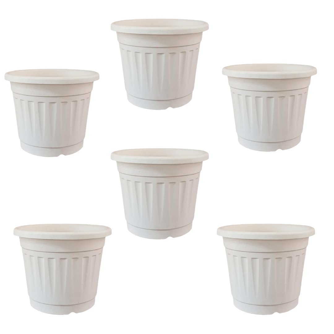 Tillage- Grower Series Plastic Pot/Nursery pots for Terrace,Home Gardening and Outdoor use. (Pack of 6) (White, 8INCH) Tillage- Grower Series Plastic Pot/Nursery pots for Terrace,Home Gardening and Outdoor use. (Pack of 6) (White, 8INCH)
