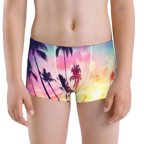Boys' Cotton Boxer Brief Soft Underwear-Tropical Palm Tree At Sunset