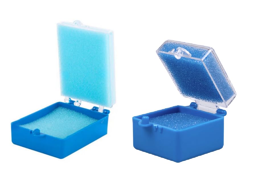 100/Bx Dental Crown & Bridge Box with Clear Lid Insert Foams Dental Crown and Bridge Tooth Boxes 1"- 2" Size (1")