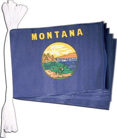 Guirlande drapeau USA Montana de 5,9 m Digni aux finitions soignees pour pavoisement