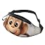 Cute Monkey