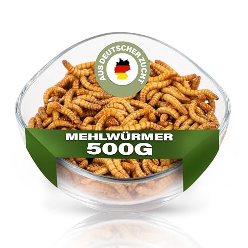 ENTAVA Mehlwürmer lebend 500g - Frische Premium-Qualität aus eigener Deutscher Zucht, Lebende Mehlwürmer geeignet als Vogelfutter, Fischfutter, Igelfutter, Reptilienfutter, Eichhörnchenfutter