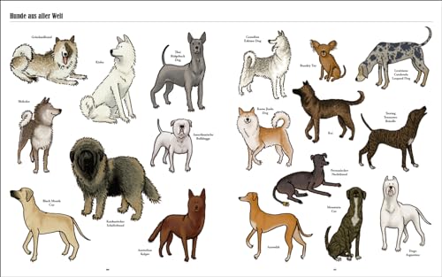 Große Hunde, kleine Hunde: Alle Hunde dieser Welt. Über 250 Hunderassen aus aller Welt