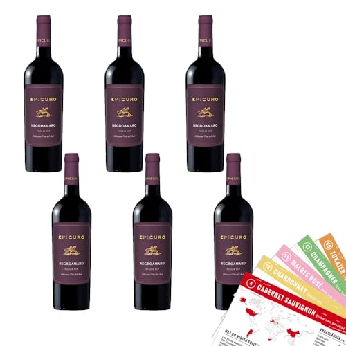 Epicuro Negroamaro Puglia, trocken, sortenreines Weinpaket + VINOX Winecards (6x0,75l)