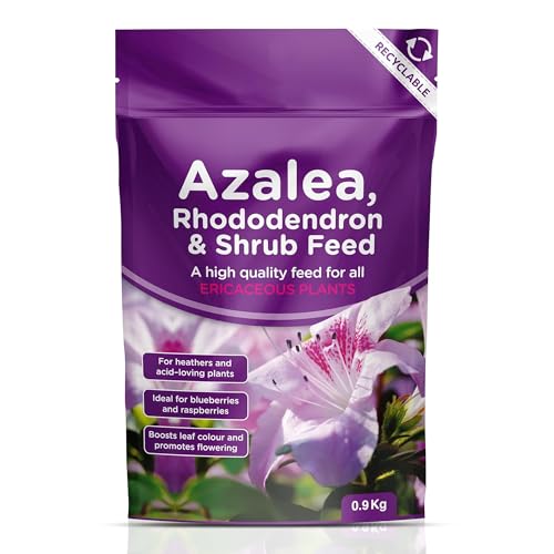 Azalea Rhododendron & Shrub Feed 0.9 Kg Ericaceous Fertiliser Ideal for Heathers & Acid-Loving Plants, Blueberries, Raspberries- Boosts Leaf Colour and Flowering