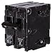 Q220 20-Amp Double Pole Type QP Circuit Breaker