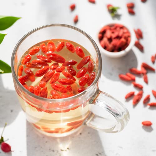 1 Red Goji Berry Plant Live 8 Inc Height (Starter Plant) - Goji Berry Fruits For Planting #TOP2