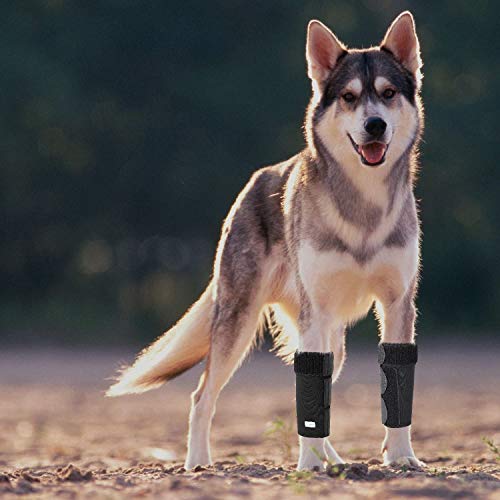 In Hand Dog Leg Brace, Pair Of Dog Canine Leg Wrap Front Leg Compression Brace With Metal Strips & Safety Reflective Straps, Protects Wounds Brace Heals And Prevents Injuries And Sprains #TOP1