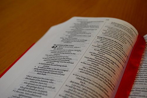 NIV Pocket Grey Notebook Bible