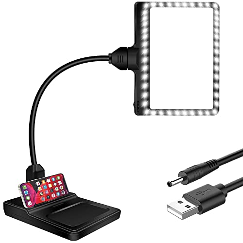 4X Magnifying Glass with Light and Stand, Flexible Gooseneck Magnifying ...