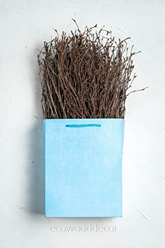 Ecowooddecor 100 Pcs Birch Twigs For Vase Decoration. Set Of 2 Bundles Of Branches 100% Natural Sticks 17 Inches #TOP4