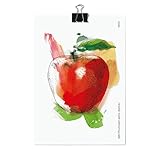 531 Rheinland Design