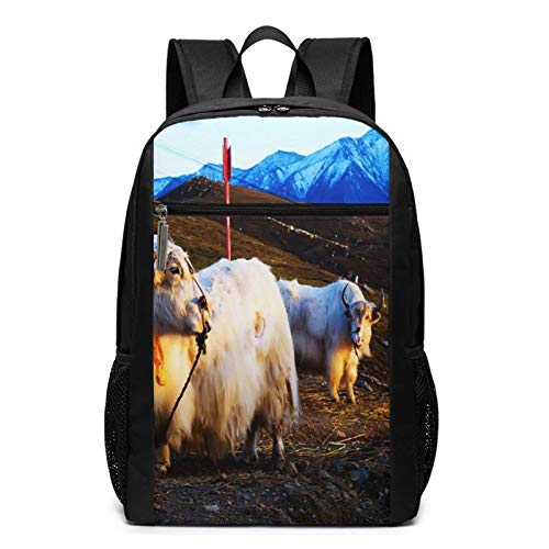 Preisvergleich Produktbild Schulrucksack Stier Tier suchen, Schultaschen Teenager Rucksack Schultasche Schulrucksäcke Backpack für Damen Herren Junge Mädchen 15,6 Zoll Notebook