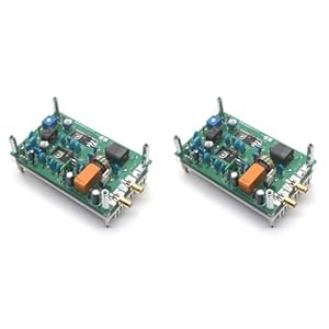 Rdjumpdjo 2X 30W Kurzwellen Leistungsverstärkerplatine