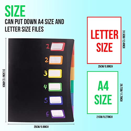 Edufun 6 Pocket Expanding File Folder, File Organizer, Plastic Rainbow Lining, Colored Filing Folder Designed For Home, Office, School #TOP5
