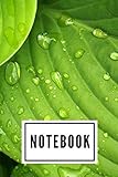 NOTEBOOK : 6x9 Lined Journal: Series Notebooks - Medium Organizer- 100 Pages - Great Gift - Eco-Friendly Paper - Forest - Trees - Plants - Grass - ... - Landscape - Palm trees - Leaves - Flowers
