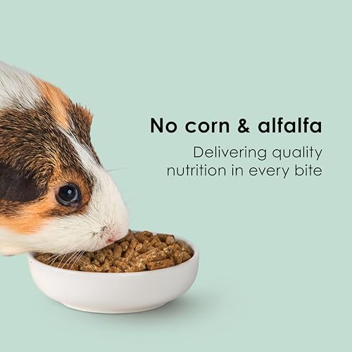 Kaytee Timothy Complete Guinea Pig Food with Timothy Hay, 25 Pounds - image 6