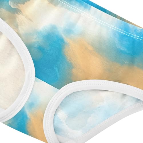 Fancy Toddler Underwear Floral 2t Cotton Little Girl Panties Abstract Brush Strokes Blue Kids Undies Briefs4