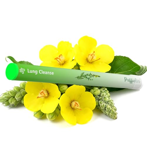 Image of Herbal Diffuser Pen, Lung Cleanse Diffuser with Mullein, Thyme & Mint for Better Breathing, All Natural Swap - 600 Uses, 2 Diffusers, 1 Pack
