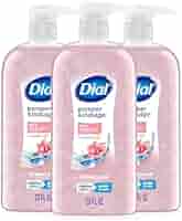 ディシラ　body wash ディシラ / ボディーウォッシュの公式商品情報｜美容・化粧品