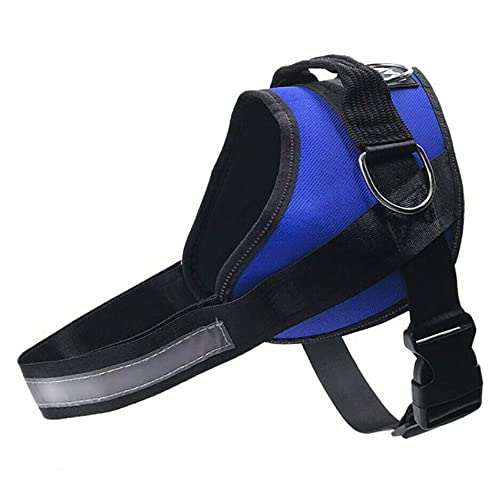 See full amazon price history chart for Pets Empire Dog Harness, No-Pull Reflective Breathable Adjustable Pet Vest with Handle for Outdoor Walking - No More Pulling (X-Large (Neck 24-32/ Chest 26-36), Blue) Pets Empire Dog Harness, No-Pull Reflective Breathable Adjustable Pet Vest with Handle for Outdoor Walking - No More Pulling (X-Large (Neck 24-32/ Chest 26-36), Blue) (B09NW8K4LF) Amazon Price History, Amazon Price Tracker