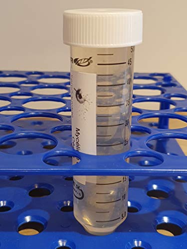 Mycélium de morille conique 50ml pour réussir la culture de champignons rares chez soi - 4