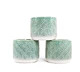 En nuestra tienda de Amazon encontrará muchas más ideas de decoración para el hogar y para regalar. Mira el pasado, simplemente haz clic en la parte superior de nuestro nombre. Gracias. ❤️