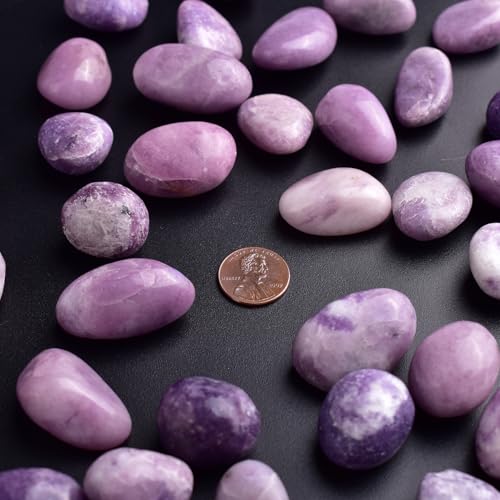 Image of Polished Stone Set Lepidolite Crystals, 0.8 inch Handpicked Tumbled Gemstones Rocks, Pebbles for Reiki, Chakra, Healing, Home Decor
