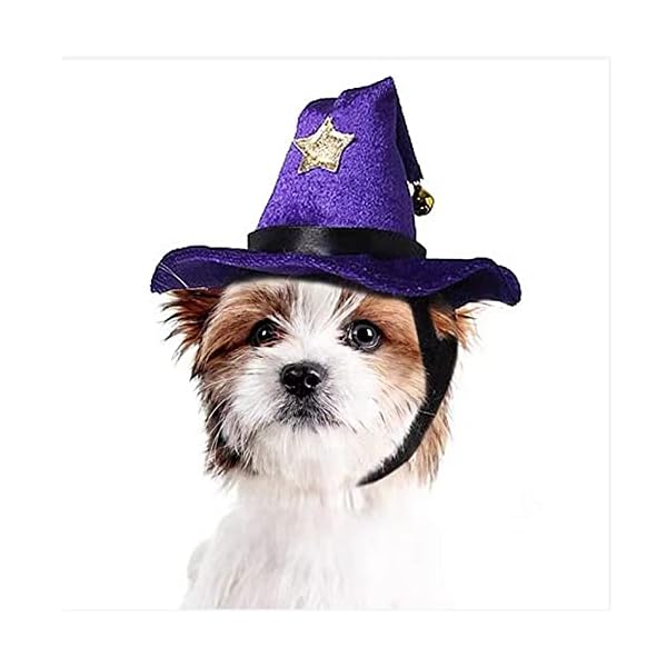 Aniac pet halloween costume adjustable magic witch hat with bell star decor for cats and small dogs purple - image 3
