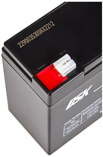 DSK 10321 — 6 V und 12 Ah versiegelte wiederaufladbare AGM-Bleibatterie Ideale Batterie für Elektroautos und Motorräder für Kinder, USV/USV-Systeme, Sicherheitssysteme und Alarmanlagen