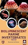  Bioluminescent Marine Invertebrates