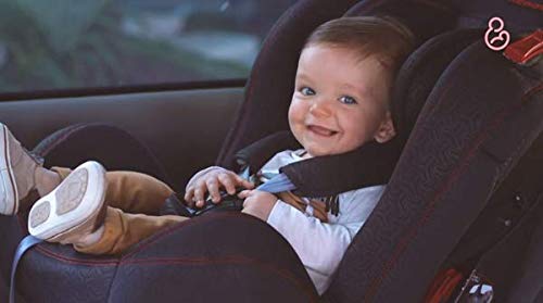 Cadeirinha Reclinavel Bebe Carro Galzerano Flyn 09-25 Kg 8025PT + Protetor