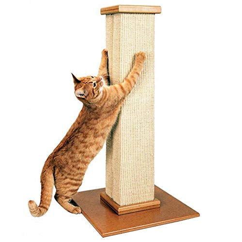 Best Cat Scratcher In 2021 [Reviews & Buying Guide] Anemaa