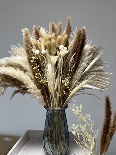 Total 104 Pcs /11 Various Dried Pampas Grass Décor, White Pompous Grass, Bunny Tails Dried Flowers Reed Grass, 17 Inch Pompass Grass For Flower Arrangements Boho Wedding Home Décor (Ivory White) #TOP6