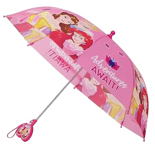 Disney Girls' Little Assorted Character Rainwear Umbrella, Princess, Age 3-6