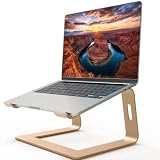 Orionstar Ergonomic Laptop Stand