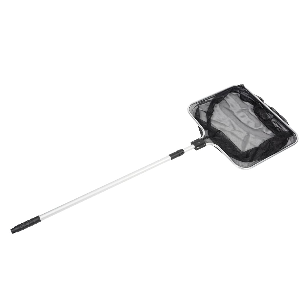 duvoplus, Epuisette Bassin mai Les Fines 30x25cm, Poisson, Poissons