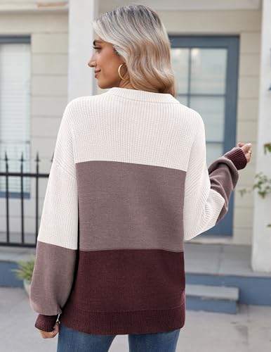 Zeagoo Womens Color Block Sweaters Plus Size Fall 2025 Crew Neck Chunky Sweater for Women - image 5