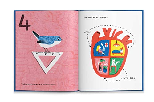Octopuses Have Zero Bones: A Counting Book about Our Amazing World (Math for Curious Kids, Illustrat