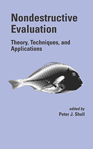 Nondestructive Evaluation: Theory, Techniques, and Applications (Mechanical Engineering Book 142)