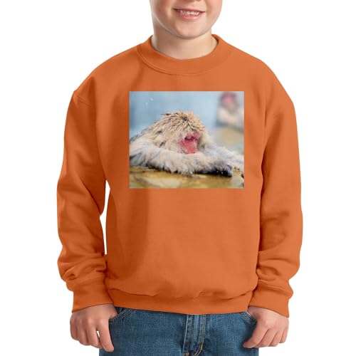 Sweatshirt enfant macaque source eau chaude Japon animaux Jigokudani pull - 2