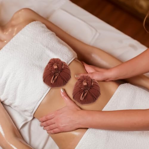 Boules de massage chinoises à compresses chaudes relaxation dos - 2