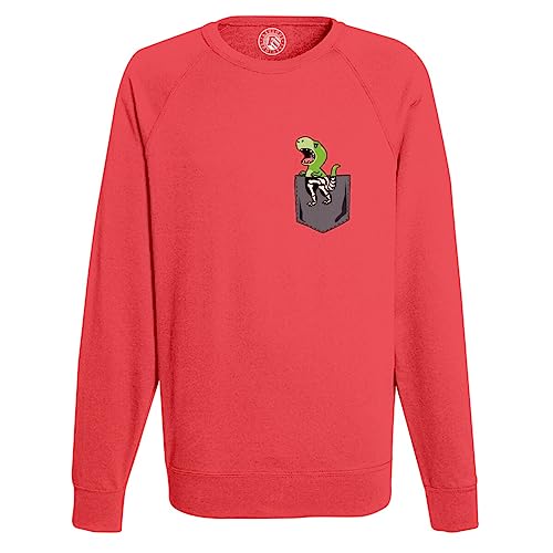 Sweat Homme Dinosaure Rayon X Pull Poche Surprise Dessin Mignon